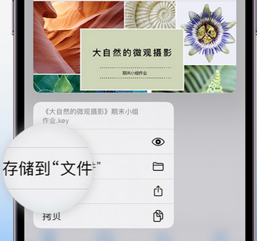 宝安apple维修中心分享iPhone文件应用中存储和找到下载文件