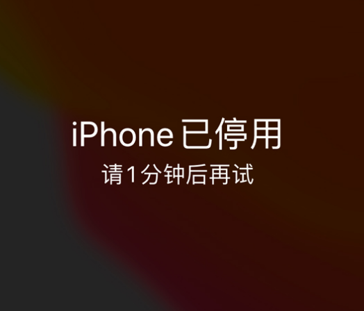 宝安苹果手机维修分享:iPhone 显示“不可用”或“已停用”怎么办？还能保留数据吗？ 