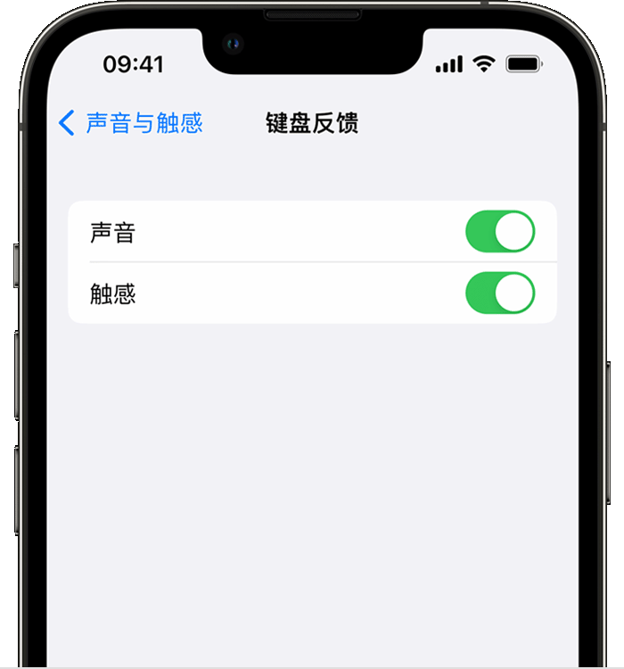 宝安苹果14维修店分享如何在 iPhone 14 机型中使用触感键盘 