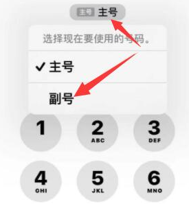 宝安苹果14维修店分享iPhone 14 Pro Max使用副卡打电话的方法 