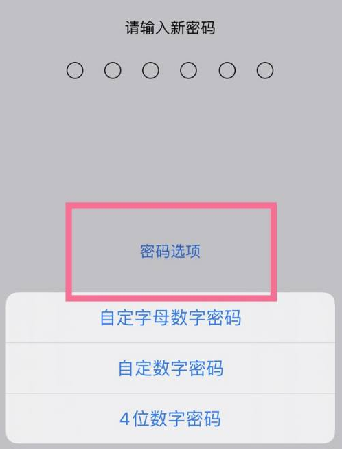 宝安苹果14维修分享iPhone 14plus设置密码的方法 