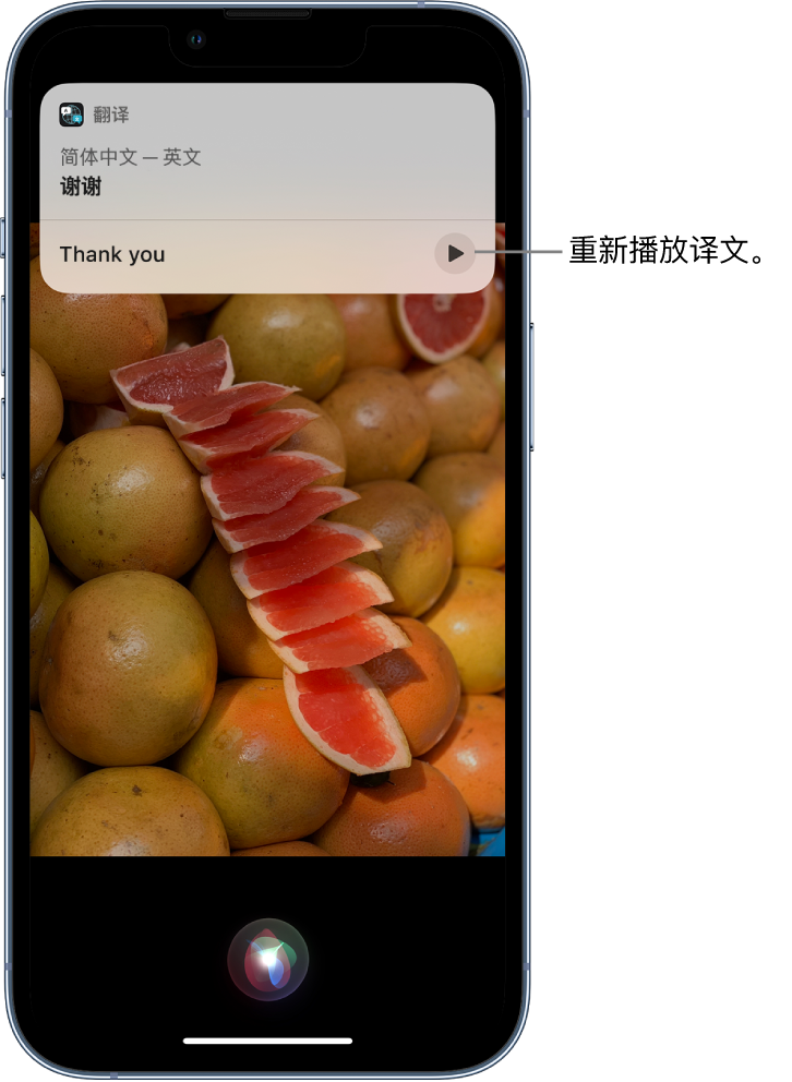 宝安苹果14维修分享 iPhone 14 机型中使用 Siri：了解 Siri 能帮你做什么 