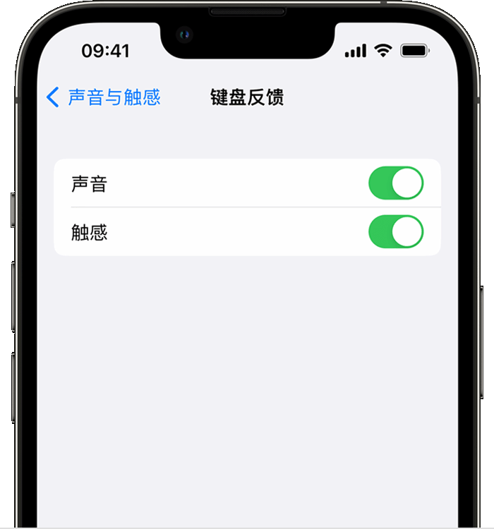 宝安苹果14维修分享iPhone 14 系列机型如何开启键盘声音或触感反馈 