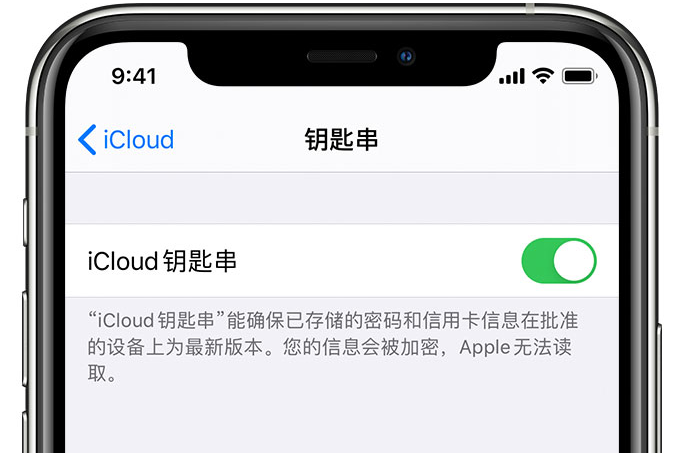 宝安苹果手机维修分享在 iPhone 上开启 iCloud 钥匙串之后会储存哪些信息 