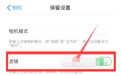 宝安苹果13维修分享iPhone13拍照有绿点是怎么回事 