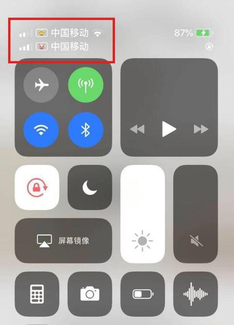 宝安苹果手机维修分享为 iPhone 12 双卡设置标签 