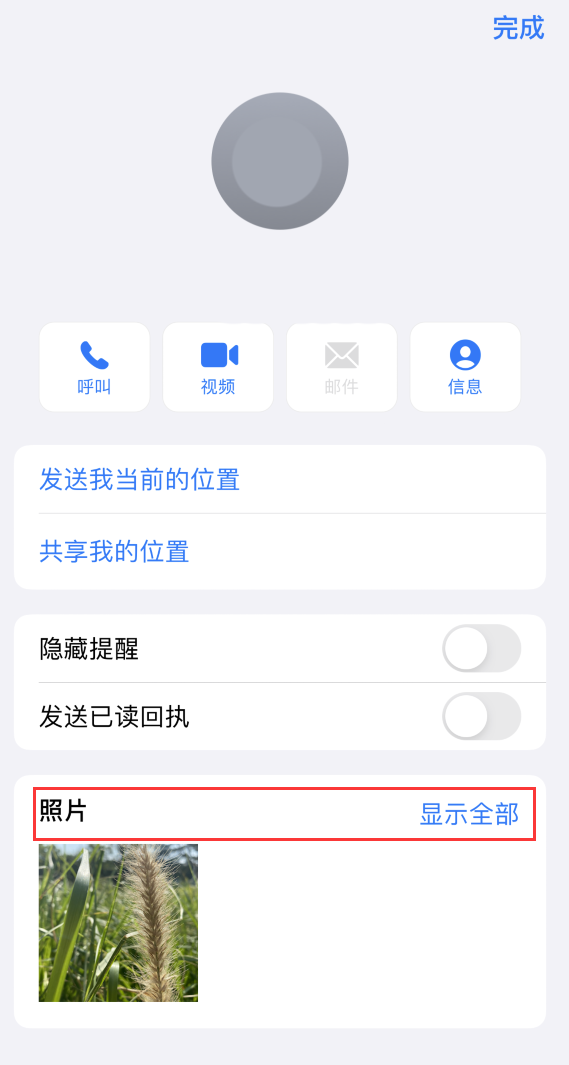 宝安苹果手机维修分享如何快速查找 iMessage 信息中的图片等附件 